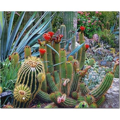 Cactus Art Picture Full Round Diamond Painting 5d Diy Diamond Embroidery square Rhinestone mosaic Room Decoration PaintingZP-182