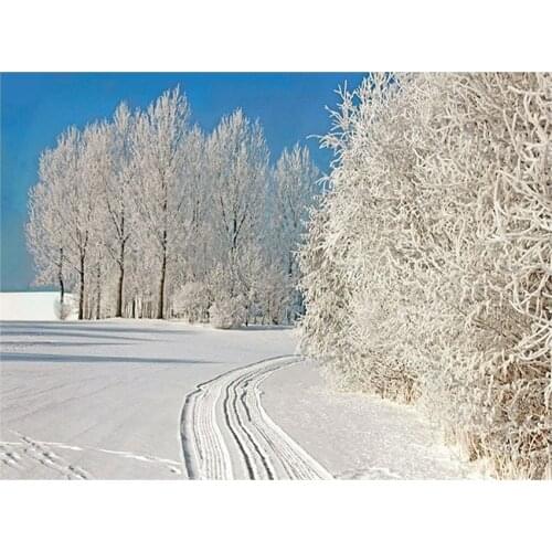 5D DIY Diamond Painting Winter Forest Snow Trees Nature landscape Diamond Embroidery Cross Stitch Rhinestone Mosaic Home Decor