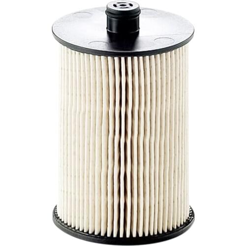 Fuel Filter PU820X for CARS