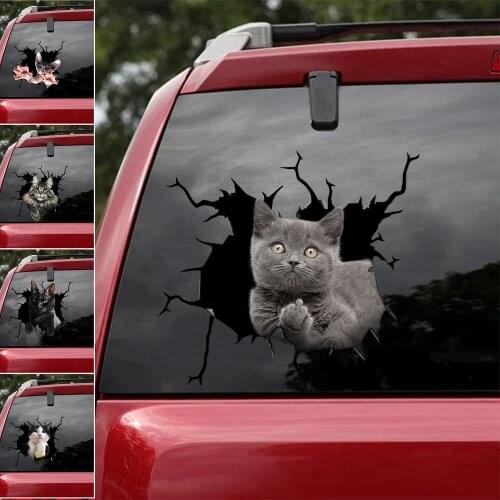 FUNNY CATS CRACK CAR STICKER CATS LOVER Cartoon Car Styling Wall Home Glass Window Door Laptop Truck Vinyl Decals