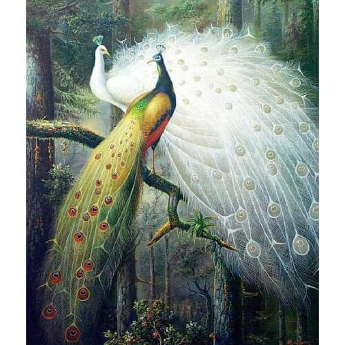 Kit for Needlework,DIY Cross stitch, Embroidery kit,forest love couple bird peacock print pattern Silk Cross-Stitch animal decor