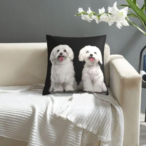 Two Happy White Maltese Dogs Sitting pattern print Cushion Cover Decorative Pillowcase Chair Seat Square Car Pillow