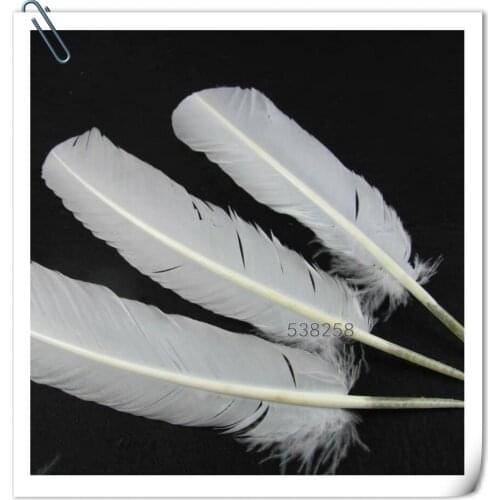 25-35cm natural white Turkey feathers for wedding /party /clothes Decoration
