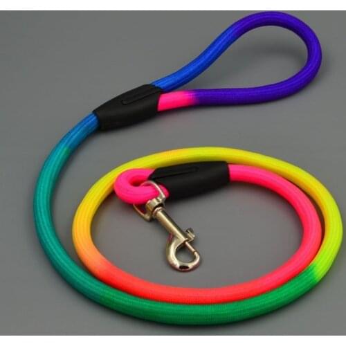 Dog Leash Perro Arnes Correa Para Chien Harness Belt Harnais Honden Cane Dla Gato Grande Guinzaglio Laisse Pour Psa Set