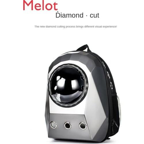 Cat Bag Outing Carry Bag Space Capsule Pet Backpack Cat Cage Shoulder Transparent Cat School Bag Dog Pack Cat Supplies