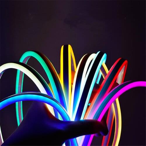 220V flexible neon Light LED Strip Outdoor waterproof flex tape aquarium tira impermeable Christmas Living room decoration Lamp
