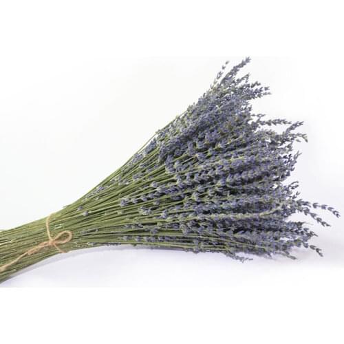 Natural Dried Flower UK Dried Lavender Flowers for Home Decoration Artificiales Real Flower 250g