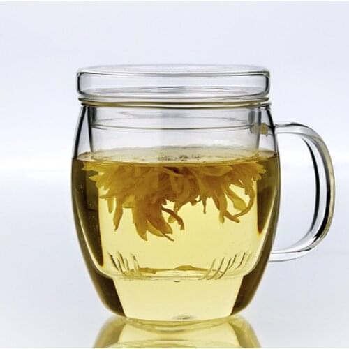320 ~500ml Office Borosilicate Glass Mug with Glass Infuser and Lid Blooming Loose Leaf Fruit Tea Glass Cup Daily Drinkware Tea
