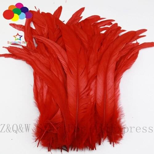 Natural 25-30CM (10-12 inches) cock tail de dyeing red 20-200PCSDIY craft jewelry show costume decoration feather