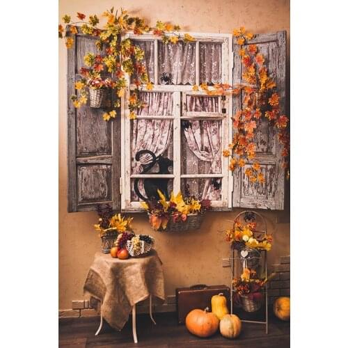 Rustic Photography Backdrops Halloween Backdrop Old Wooden Window Pumpkins Fruits Indoor Backgrounds for Photo Studio Photophone