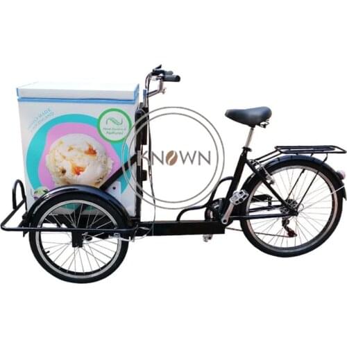 Mobile Adult Electric Tricycle with Freezer 3 Wheels Cargo Bike Ice Cream Cart Popsicle Cold Drink Vending Vehicle Bicycle