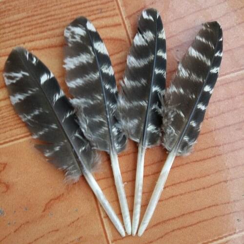 Hot 6-10 cm 10 pcs Pretty Natural Pheasant Feathers DIY Jewelry Clothing Hat Christmas Holiday Decoration