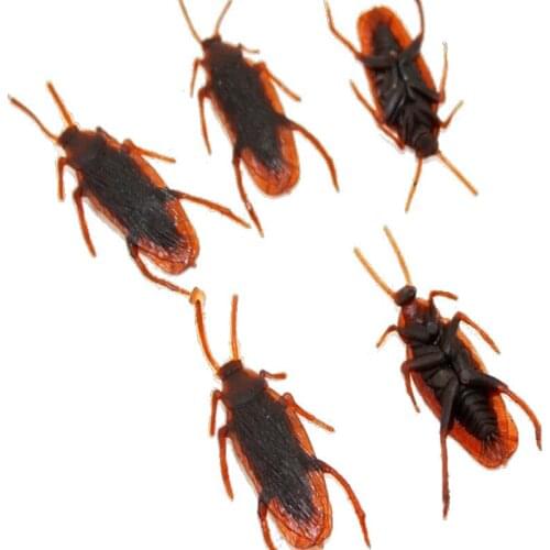 2pcs/lot Shock Toys Simulation Cockroaches Xiaoqiang Insect Magic Props Novelty products toy