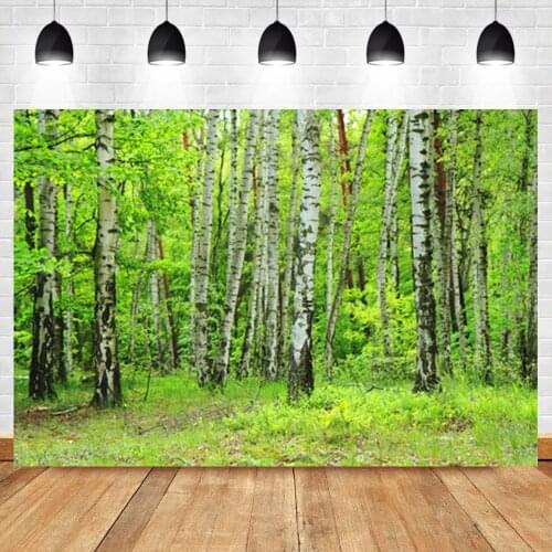 Grunge Old Forest Tree Art Nature Scenic Interior Home Decro Photography Backdrops Photo Backgrounds Photophone For Photo Studio