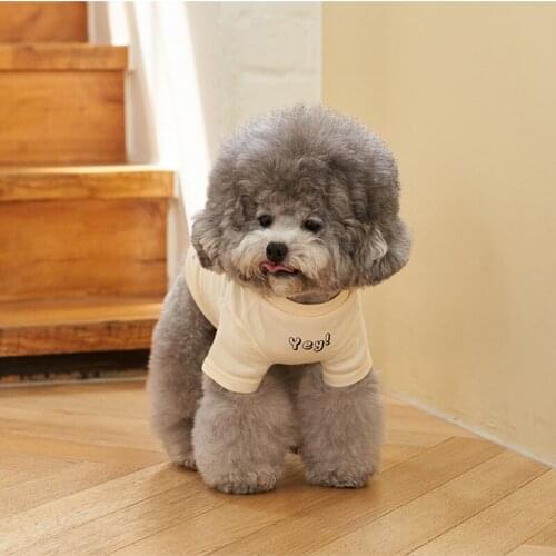 Summer New Korean Korean Pet T-shirt Summer Refreshing Color Matching Printing Chun Cotton Short-sleeved T