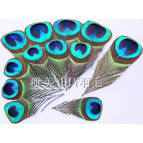 10pcs Real Peacock Feather Trimmed peacock eye costumes Necklace earrings accessories wedding Decorative 8-12cm