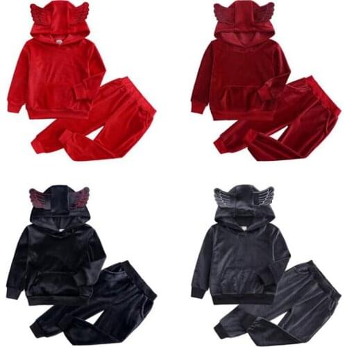 Spring Autumn Baby Boys Girls Long Sleeve Hoodie + Pants Suit Clothing Sets Casual Kids Boy Girl Pleuche Suit Clothes