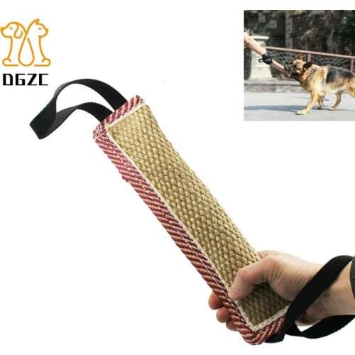 DGZC Leashes For Training