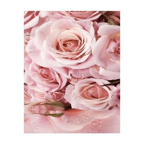 TR 8x8ft Digital Pink Roses Printed Photo Studio Backdrops Photography Background for Indoor Newborn Baby Wedding Backgrounds