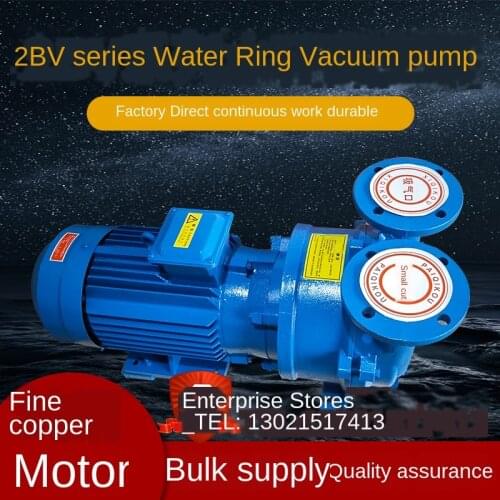 2BV series water ring vacuum pump industrial water circulating vacuum pump compressor pump accessories