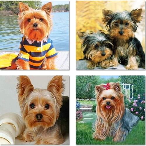 2021 New Year Gift Diamond Painting Yorkshire Terrier DIY 5D Full Round Diamond Embroidered Animal Diamond Mosaic Cross Stitch