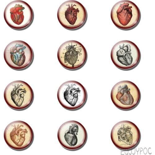 12pcs Vintage Heart Anatomy 25MM Fridge Magnet Steampunk Doctor Student Gift Magnetic Refrigerator Stickers Glass Note Holder