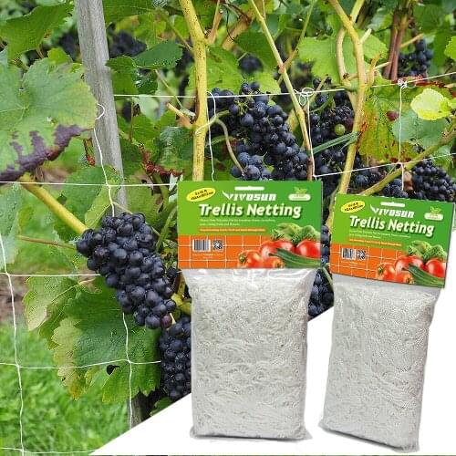 Plant Climbing Net Mesh Flower Cucumber Plants Landing Net Frame Support Vine Trellis Netting Garden Net Plant Trellis Netting