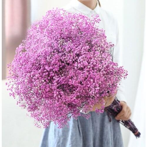100g Natural Dried Flowers Preserved Pink Gypsophila Babysbreath Million Stars Wedding Home Decor Flower wall Christmas