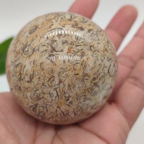 DINOSAUR BONE SPHERE DINO NATURAL FOSSIL AGATE DECORATIVE BALL EGG