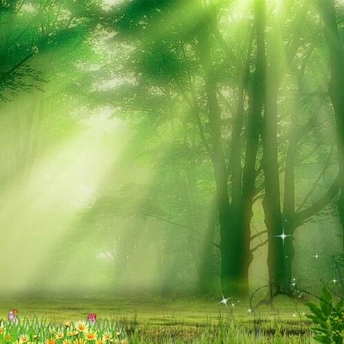 Green forest travelling vlog photo background vinyl children portrait photography backdrops for photo studio accessories F-1048