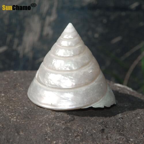 Fashion White Conch Natural Shell Conch Ice Tower Home Wedding Furnishing Pieces Fish Tank Decoration Seascape Crafts Specimens