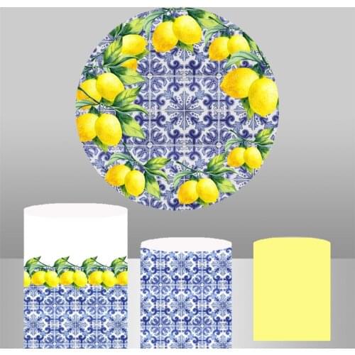 Circle Round Backdrop Photography Background Spanish porcelain pattern Birthday Party Photo Studio Table Cover Poster column Y68