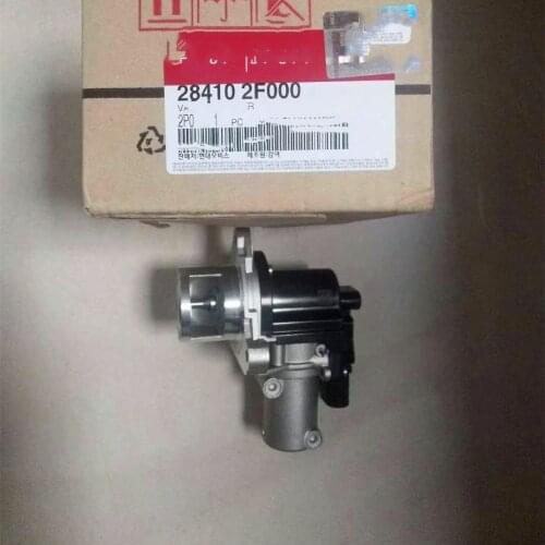 OEM 284102F000 VALVE ASSY-EGR Diesel 2.2T for Hyundai Santa Fe ix35 KIA Sorento Sportage
