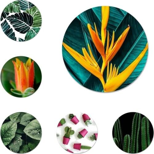 58mm Plant cactus flower Icons Pins Badge Decoration Brooches Metal Badges For Backpack Decoration