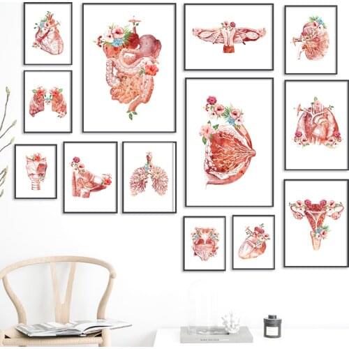 Flower Breast Uterus Kidney Liver Anatomy Wall Art Canvas Painting Nordic Posters And Prints Wall Pictures For Doctors Office