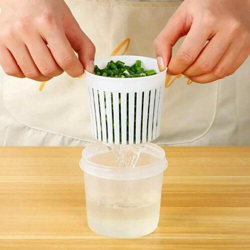 Refrigerator Scallion Storage Box Scallion Ginger Garlic Drain Seal Kitchen Fruit and Vegetable Box Plastic Transparent Storage