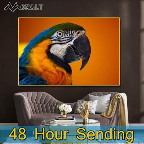 Canvas Painting for living room HD Yellow Parrot Animal Poster and Prints Creativity Hoom Decor picture Wall Modern art painting