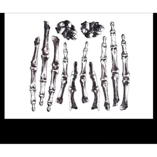 Tatoo skeleton Halloween party horror funny skull bones finger tattoo stickers bones Fake Temporary Tattoos For Women Men