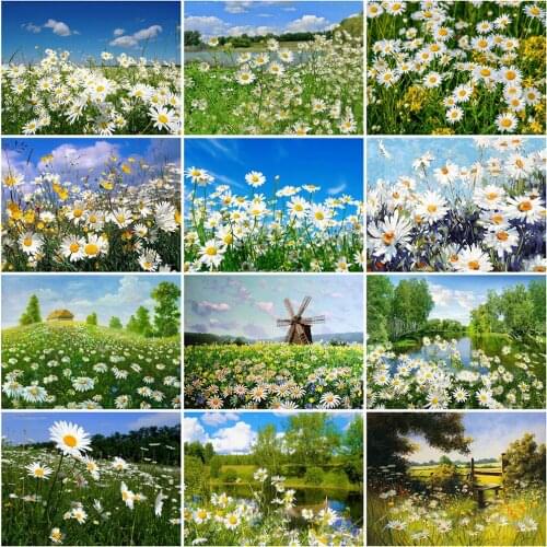DIY Diamond Painting Daisy Flower Mosaic Diamond Embroidery Full Drill Square Round Landscape Cross Stitch Kits Home Decoration