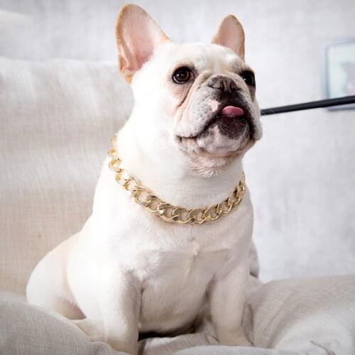 Chain Dog Collar Personalized Golden Necklace Adjustable Plastic Collar French Bulldog Fashion Pet Decorations