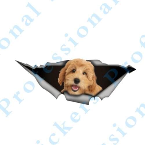 3D Animal 13 x 9.9 Black Palm Cockatoo Sticker Torn Metal Vinyl Decal Lovely Car Stickers Motorcycle Trunk Animal 3D Car Styling