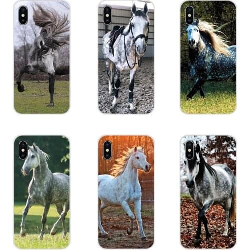Running Dappled Horse Art Poster TPU Transparent Bag Case For Samsung Galaxy S4 S5 MINI S6 S7 edge S8 S9 S10 Plus Note 3 4 5 8 9