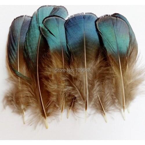 100PCS/LOT 4-8cm BLUE BRONZE Lady Amherst Pheasant Plumage Feathers for facinators earrings hair fly tying crafts