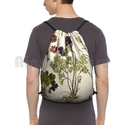 Botanica Nostalgia Ii Plant Botanical Study Backpack Drawstring Bag Riding Climbing Gym Bag Painterly Anemone Purple Anemone