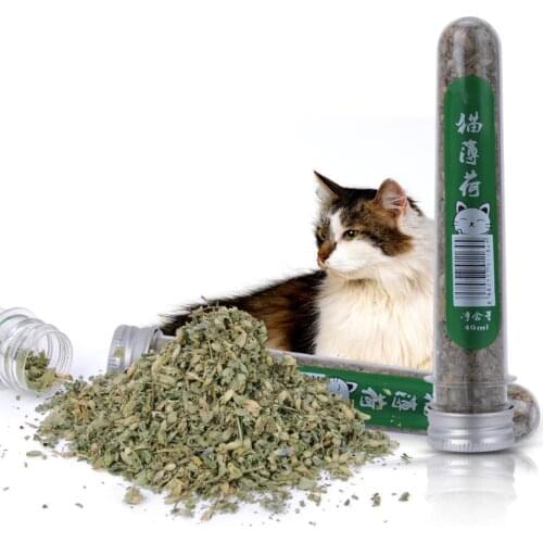 DCPET Cat Toilet