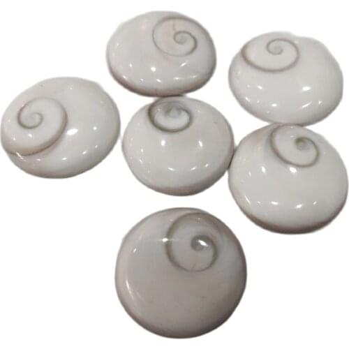 5pcs Natural Sun shell fossil Fossil Specimen Crystal Love Heart Reiki Shiva Eye