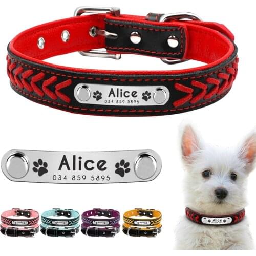 Personalized Dog Collar Customized Dog Collars Padded Pet Collar Name ID Collars for Small Medium Large Dogs Cats