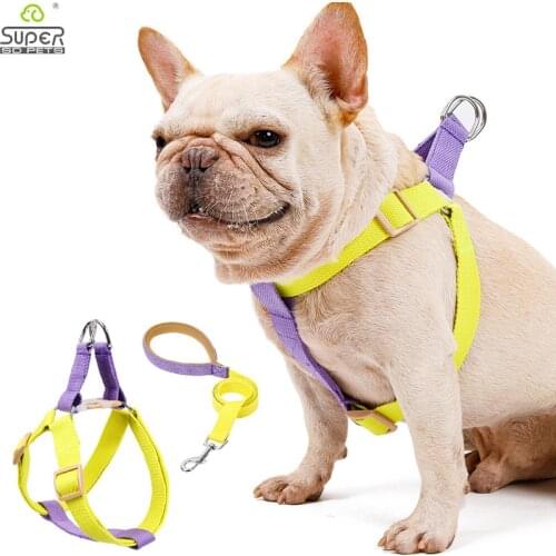 Dog Harness and Leash No Pull Nylon Pet Leashes for Small Dogs French Bulldog Chihuahua Lead Leash and Collar Set for Yorkies