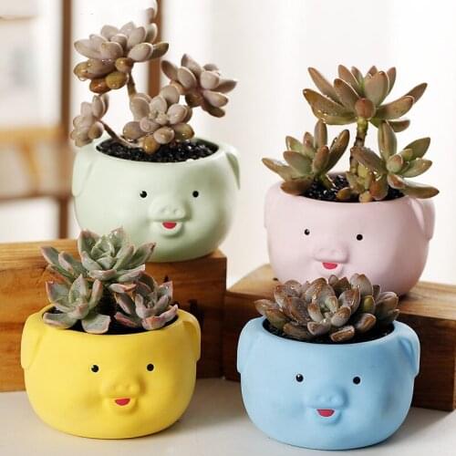 Kawaii Cartoon Pig flower pot ceramic planter Mini succulent pots garden accessories maceta ceramica doniczki ozdobne home decor