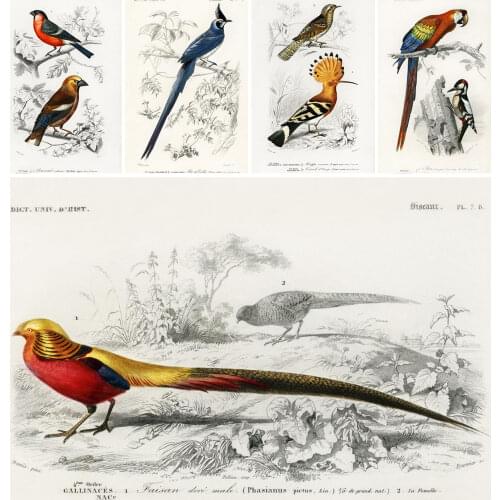 Настенные ретро картины DREAMARTS China At AliExpress